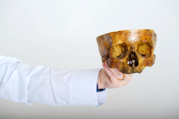 Endoscopic spine surgeon